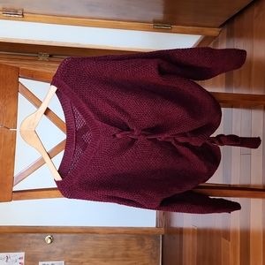 Express Red Cropped Sweater Size Small